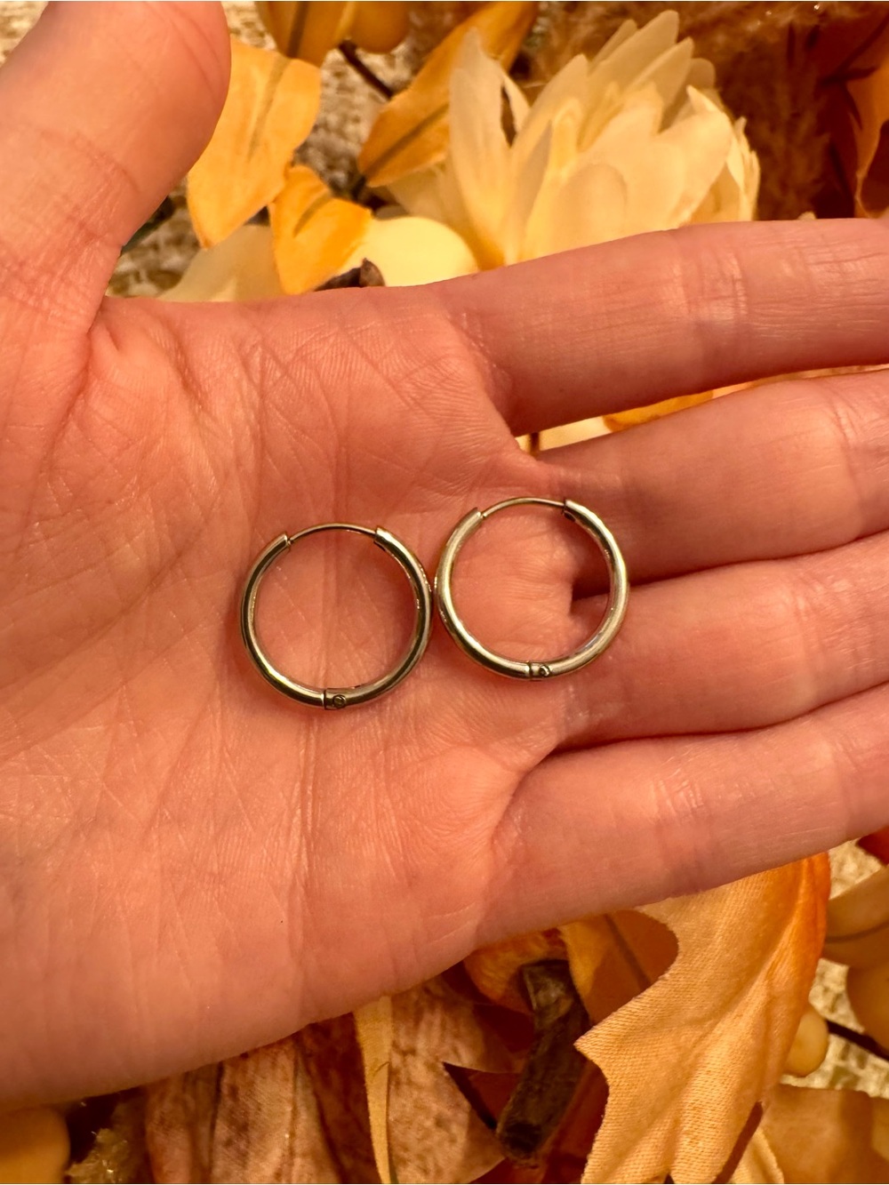 Small Silver Hoop Earrings stainless steel